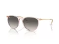 Ray-Ban Erika Zonnebril RB 4171 674211