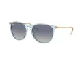 Ray-Ban Erika Zonnebril RB 0RB4171 67434L