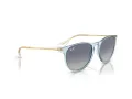 Ray-Ban Erika Zonnebril RB 0RB4171 67434L