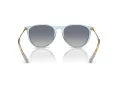 Ray-Ban Erika Zonnebril RB 0RB4171 67434L