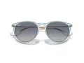 Ray-Ban Erika Zonnebril RB 0RB4171 67434L