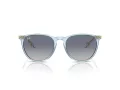 Ray-Ban Erika Zonnebril RB 0RB4171 67434L
