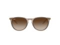 Ray-Ban Erika Zonnebril RB 4171 674413