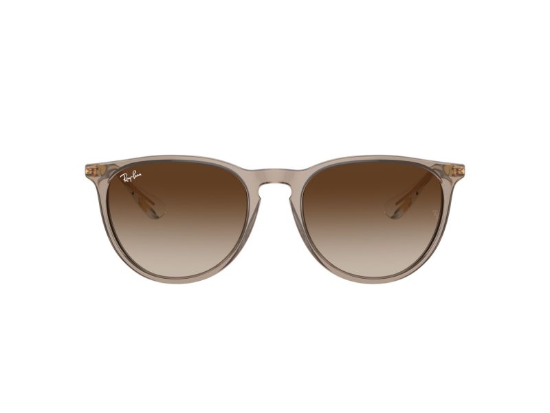 Ray-Ban Erika Zonnebril RB 0RB4171 674413