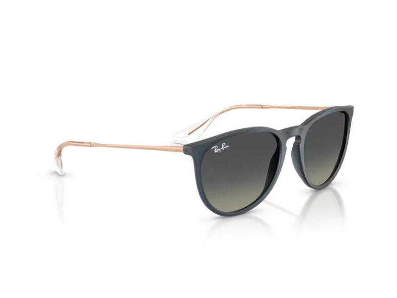 Ray-Ban Erika Zonnebril RB 4171 681311