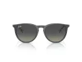 Ray-Ban Erika Zonnebril RB 4171 681311