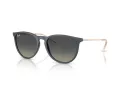Ray-Ban Erika Zonnebril RB 4171 681311