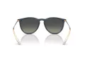 Ray-Ban Erika Zonnebril RB 4171 681311