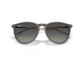 Ray-Ban Erika Zonnebril RB 4171 681311