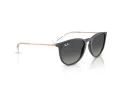 Ray-Ban Erika Zonnebril RB 4171 681311