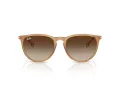 Ray-Ban Erika Zonnebril RB 4171 681413