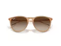 Ray-Ban Erika Zonnebril RB 4171 681413
