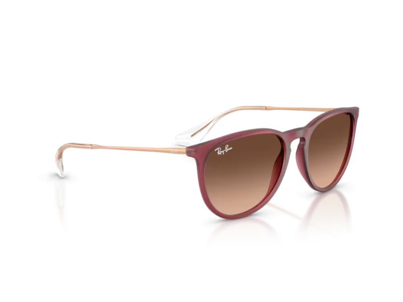 Ray-Ban Erika Zonnebril RB 4171 6815A5