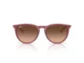 Ray-Ban Erika Zonnebril RB 4171 6815A5
