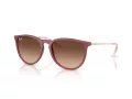 Ray-Ban Erika Zonnebril RB 4171 6815A5