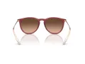 Ray-Ban Erika Zonnebril RB 4171 6815A5