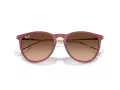 Ray-Ban Erika Zonnebril RB 4171 6815A5