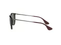 Ray-Ban Erika Zonnebril RB 4171 710/71