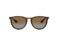 Ray-Ban Erika Zonnebril RB 4171 710/T5