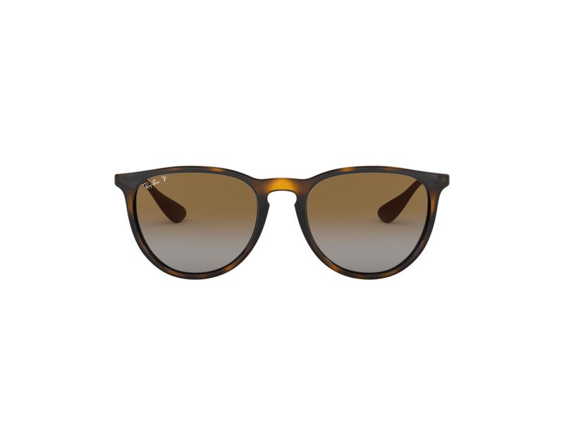 Ray-Ban Erika Zonnebril RB 4171 710/T5