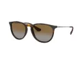 Ray-Ban Erika Zonnebril RB 4171 710/T5