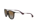 Ray-Ban Erika Zonnebril RB 4171 710/T5