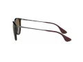 Ray-Ban Erika Zonnebril RB 4171 710/T5