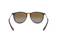 Ray-Ban Erika Zonnebril RB 4171 710/T5