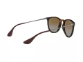 Ray-Ban Erika Zonnebril RB 4171 710/T5