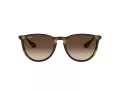 Ray-Ban Erika Zonnebril RB 4171 865/13