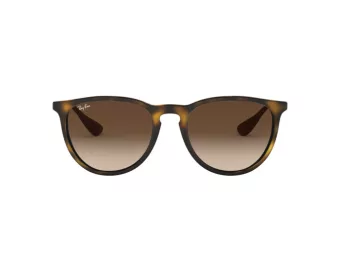 Ray-Ban Erika Zonnebril RB 4171 865/13