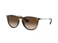 Ray-Ban Erika Zonnebril RB 4171 865/13