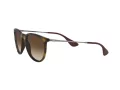 Ray-Ban Erika Zonnebril RB 4171 865/13