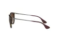 Ray-Ban Erika Zonnebril RB 4171 865/13