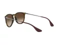 Ray-Ban Erika Zonnebril RB 4171 865/13