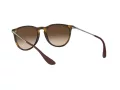 Ray-Ban Erika Zonnebril RB 4171 865/13