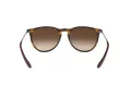 Ray-Ban Erika Zonnebril RB 4171 865/13