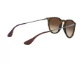 Ray-Ban Erika Zonnebril RB 4171 865/13