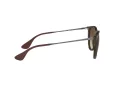 Ray-Ban Erika Zonnebril RB 4171 865/13