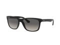Ray-Ban Rb4181 Zonnebril RB 4181 601/71