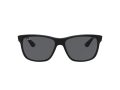 Ray-Ban Rb4181 Zonnebril RB 4181 601/87
