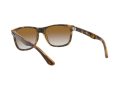 Ray-Ban Rb4181 Zonnebril RB 4181 710/51