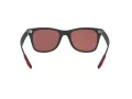Ray-Ban Ferrari Zonnebril RB 4195M F602/H2