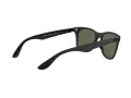 Ray-Ban Wayfarer Liteforce Zonnebril RB 4195 601S/9A