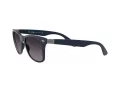 Ray-Ban Wayfarer Liteforce Zonnebril RB 4195 6331/8G