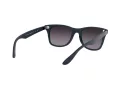 Ray-Ban Wayfarer Liteforce Zonnebril RB 4195 6331/8G