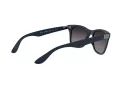 Ray-Ban Wayfarer Liteforce Zonnebril RB 4195 6331/8G