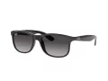Ray-Ban Andy Zonnebril RB 4202 601/8G