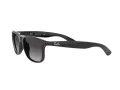 Ray-Ban Andy Zonnebril RB 4202 601/8G