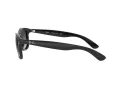 Ray-Ban Andy Zonnebril RB 4202 601/8G
